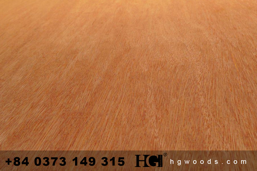 Commercial Plywood face