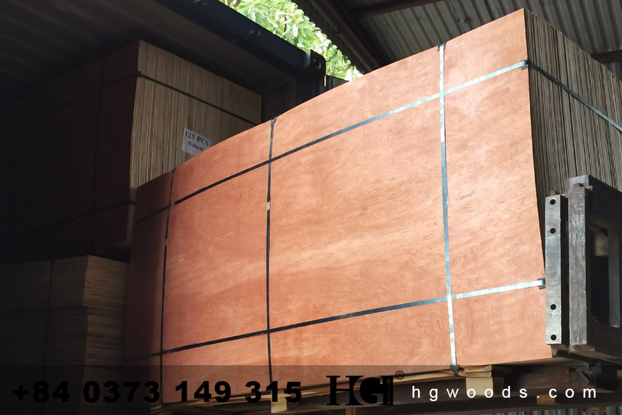 Commercial Plywood loading into container
