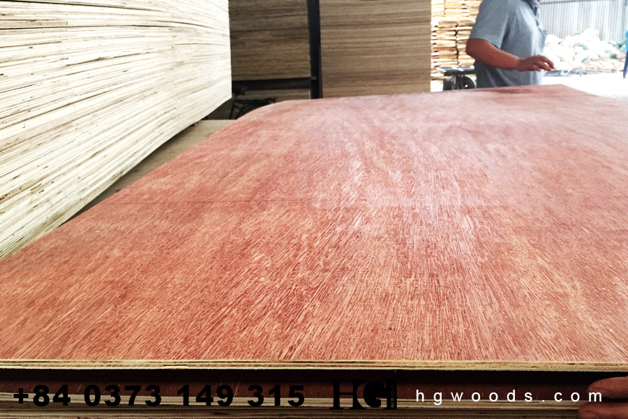bintangor packing plywood sheet